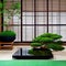 Oriental Serenity: An oriental-inspired meditation room with a tatami mat floor, a bamboo water fountain, and a bonsai tree, pro