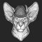 Oriental shorthair cat head. Oktoberfest. Tirol traditional hat. Beer festival. Portrait of animal.