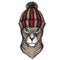Oriental shorthair cat head. Portrait of animal. Knitted wool winter hat.