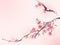 Oriental style painting, cherry blossom in spring