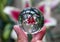 Oriental Trumpet Lily through a crystal lens ball