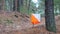 Orienteering. Control point Prism and composter for orienteering in the autumn forest. The concept