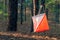 Orienteering. Control point Prism and composter for orienteering in the autumn forest. The concept.