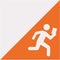 Orienteering flag with pictogram