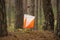Orienteering marker in the forest