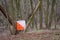 Orienteering. View of Checkpoint Prism and compost electronic and mechanical for orienteering in the autumn forest. Sports