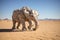 an origami elephant on a dry, cracked desert floor