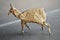 Origami figure of an antelope. They are considered as paper sculptures.