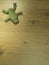 Origami Frog on wooden background