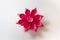 Origami Gerbera Flower