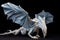 origami paper dragon with intricate wings and tail