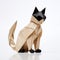 Origami Siamese Cat: Inventive Character Design In Caninecore Style
