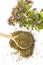 Origanum vulgare oregano herb - spice