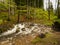 Origin of a small river in the woods, karstic spring