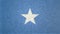 Original 3D image of the flag of Somalia.