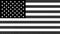 Original American flag. USA background. Artistic effect, funny US flag. Black and white old-fashioned paper patterns