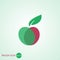 original apple icon. eco icon. bio sign