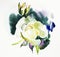 Original beautiful watercolor white rose illustration