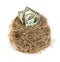 Original bird\'s nest with dollar bills. New business starting by banknotes. Business concept.