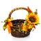 Original dark brown wicker basket with floral decoration on white background. Decor of yellow flowers and large