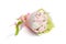 Original delicious edible bouquet consisting of candies, marshmallows, berries of raspberries and zephyrs on a white background as