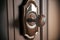 original designer shiny door handle on grey brown door