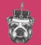 Original drawing of English Bulldog with crown.