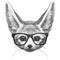 Original drawing of Fennec Fox with glasses.