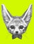 Original drawing of Fennec Fox with glasses and bow tie.