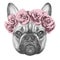 Original drawing of French Bulldog with roses.