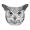 Original drawing of Owl.