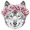 Original drawing of Wolf with floral head wreath.