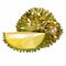 Original fruit durian
