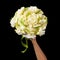 An original gift to a vegetarian in the form of a bouquet of napa cabbage