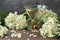 original glass with elderflower liqueur with decoration of elder flowers on wooden background