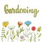 Original growing flowers. Floral border with Gardening lettering. Vector illustration.