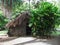 Original Hawaiian dwelling at Kamokila Hawaiian Village, Kauai, Hawaii