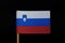 A original national flag of Slovenia on toothpick on black background. A horizontal tricolour of white, blue, and red; charged