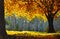Original oil painting Autumn landscape paintings
