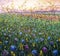 Original oil painting of flowers,beautiful field flowers on canvas