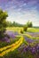 Original oil painting of flowers, beautiful purple wildflowers field flowers on canvas