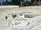 Original Pamukkale place in Turkey in Asia landscape with limestone pools with blue warm water