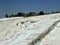 Original Pamukkale place in Turkey in Asia landscape with limestone pools with blue warm water