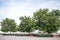 An original park with trees and benches near the port in the Kadikoy district in the Asian side of Istanbul in Turkey