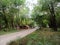 Original photos of huts and roads in rubber-producing plantations