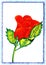 Original sketch of beautiful red rose