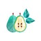 Original textured illustration of whole and half of pear, green leaves. Sweet and healthy fruit. Flat icon with