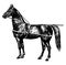 Original Use Horse Harness, vintage illustration