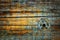 Original vintage background from wooden boards with nails and an iron disk