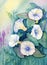 Original Watercolor - Flowers - Morning Glories